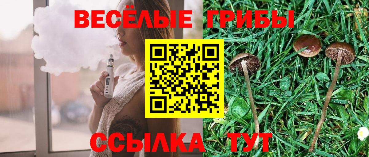 Псилоцибиновые грибы ЛСД  Вход с VPN  Курган  Псилоцибиновые грибы Psilocybe 