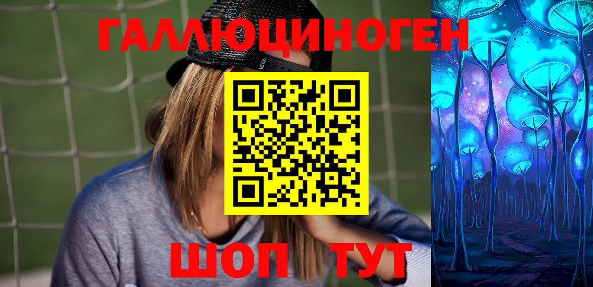 Псилоцибиновые грибы Psilocybe Курган