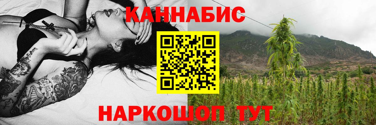 Бошки марихуана индика  Вход с VPN  Курган  Конопля White Widow  Бошки Шишки THC 21% 